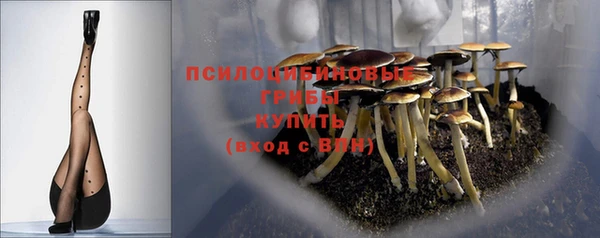молекула духа Бронницы