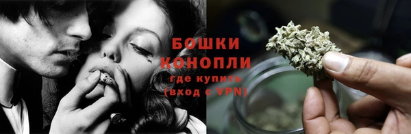 молекула духа Бронницы