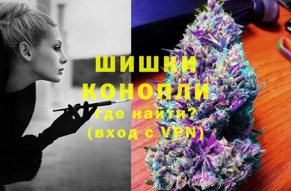 молекула духа Бронницы