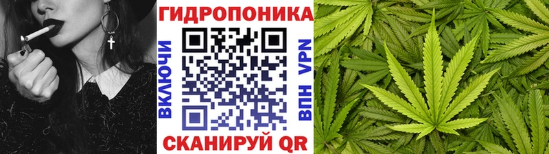 Купить где  Стрежевой  Каннабис SATIVA & INDICA 